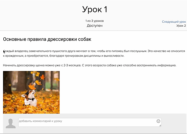 <p>
Ученик не может выделить текст или сохранить изображение	</p>